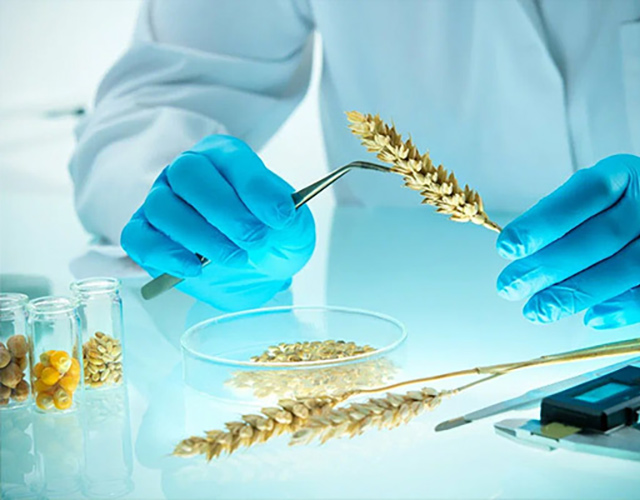 公司簡介